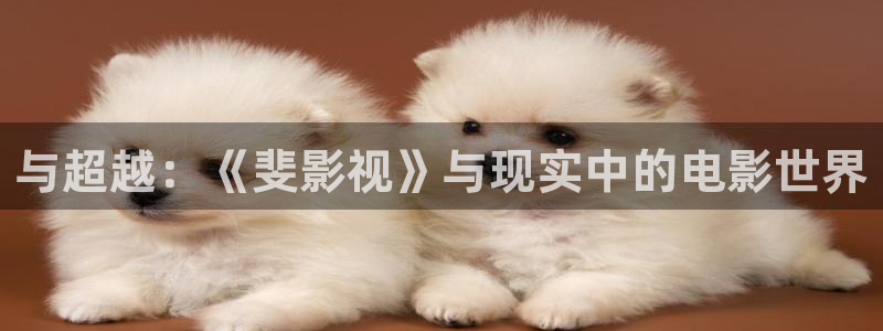 驰策电影网