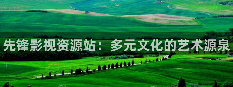 驰策影视电视剧
