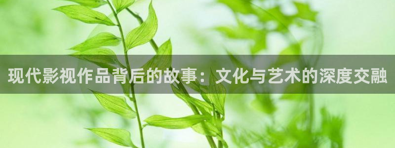驰策驰影院理论