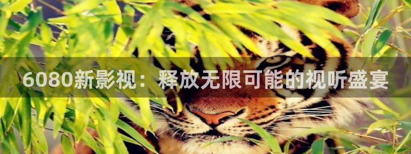 驰策影视